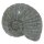 Versteinerung &quot;Nautilus&quot; &Oslash; 16 cm, Steinmetzarbeit aus Basanit