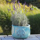 Planter flowerpot Sakura, various sizes, in celadon color glazed, frostproof