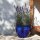 Planter flowerpot Paeonia Ø 30 H 25cm in royal blue glazed frostproof