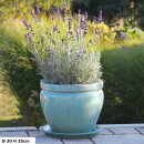 Planter flowerpot Paeonia, various sizes, in royal blue...