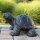 Turtle, 40 cm, stone figure, garden decoration, black antique, frost-proof