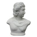 David bust / head, H 40 cm, natural concrete finishing