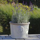 Planter flowerpot Arles, various sizes, in grey-white glazed, frostproof