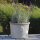 Planter flowerpot Arles Ø 34 H 25cm in grey-white glazed frostproof
