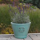 Planter flowerpot Canna Ø 34 H 25cm in celadon color glazed frostproof