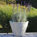 Planter flowerpot Lunel, various sizes, in grey-white...