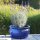 Planter flowerpot planting bowl Azalea, Ø 25 H 16cm, in royal blue glazed, with trivet, frostproof