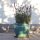 Planter flowerpot Paeonia, Ø 30 H 25cm, in jade glazed, with trivet frostproof