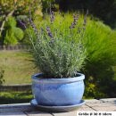 Planter flowerpot planting bowl Gardenia, Ø 30 H 18cm, azur glazed, with trivet frostproof