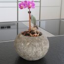 Stone flower-pot, various sizes, Ø 10 - 25 cm,...