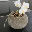 Stone flower-pot, various sizes, Ø 10 - 25 cm, hand carved from riverstone