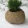 Stone flower-pot, various sizes, Ø 10 - 25 cm, hand carved from riverstone