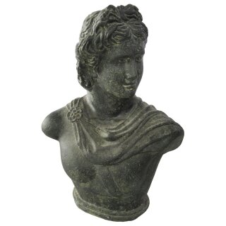 David bust / head, H 40 cm, black antique