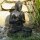 Buddha statue sitting "greeting", 30 cm, stone figure, garden deco, black antique, frost-proof